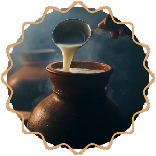 Heating Milk and Preparing Curd